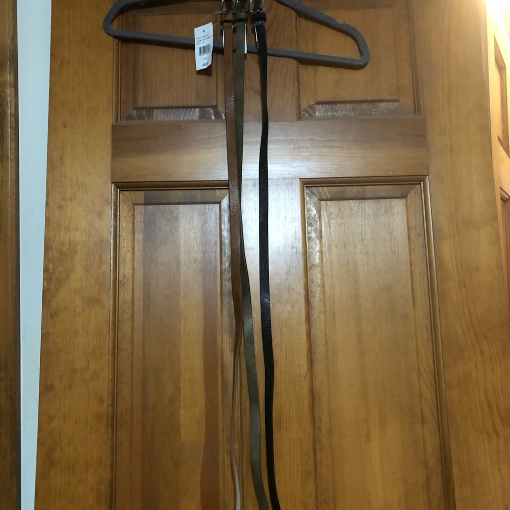 Skinny Belts